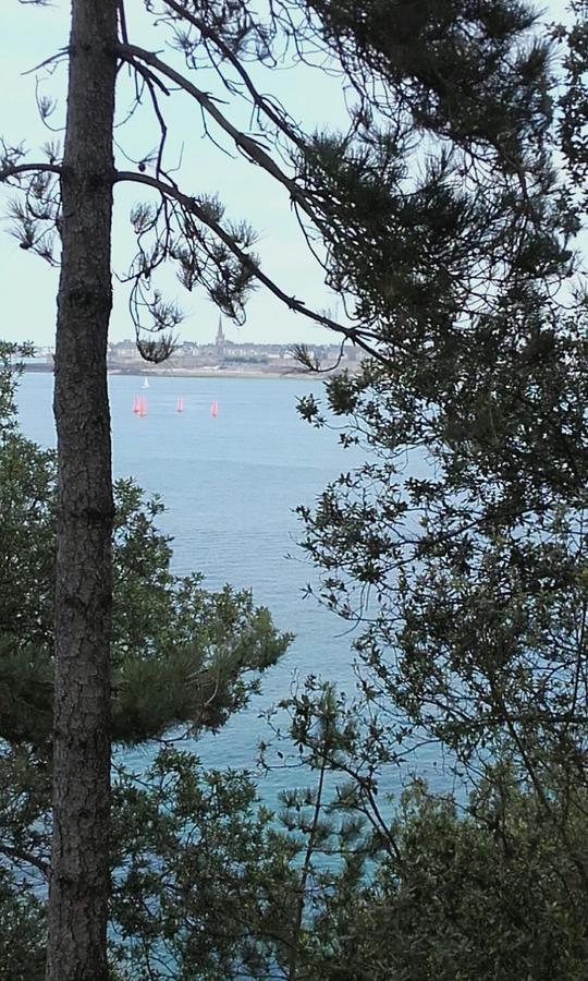 Chambres D'Hotes Le Clos D'Enhaut Dinard Eksteriør billede